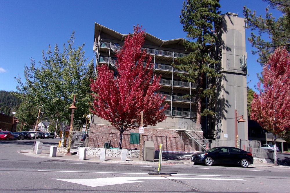 Pepper Tree Inn Tahoe City Ngoại thất bức ảnh